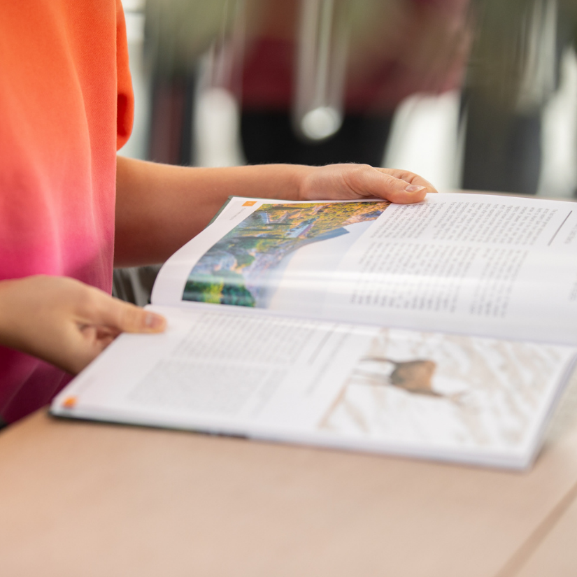 Personalised ancestry book