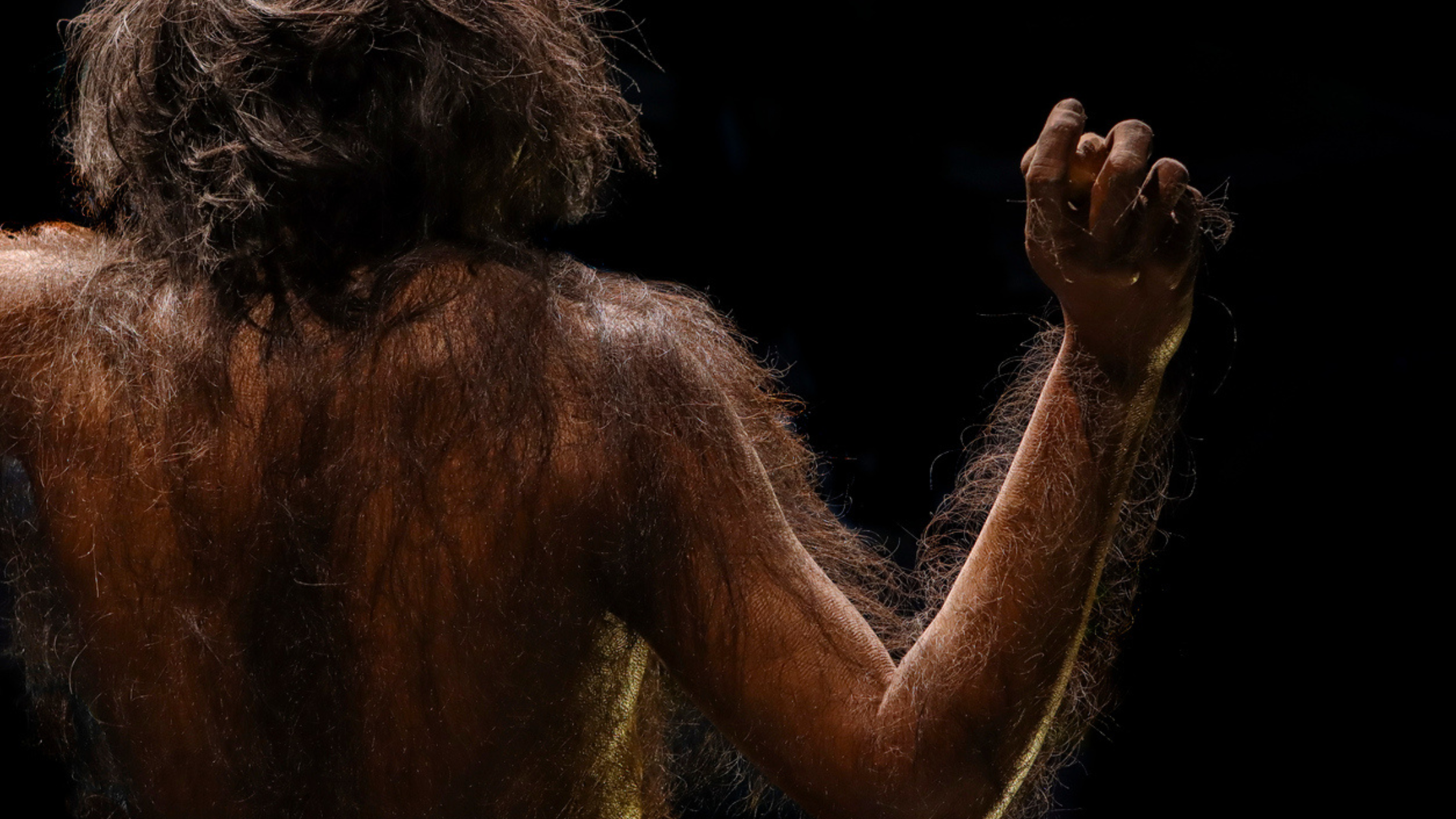 Debunking Neanderthal Myths: Setting the Record Straight on Our Ancient Cousins