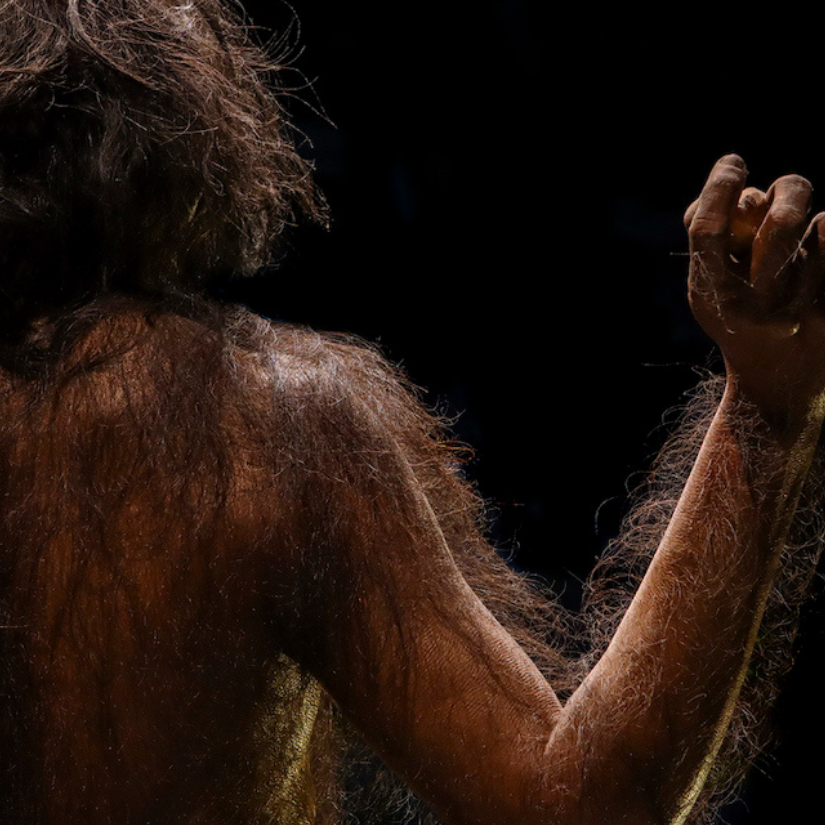Neanderthal and Denisovan reports