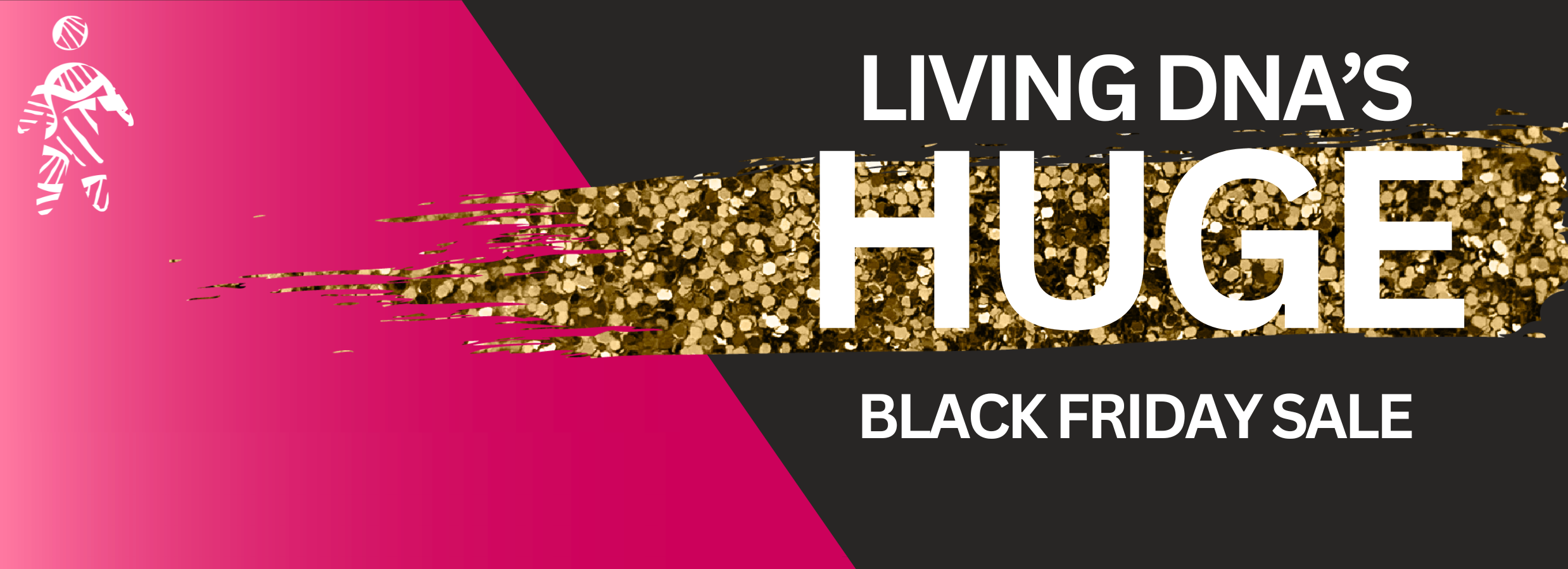 Living DNA's Black Friday Sale, 2023