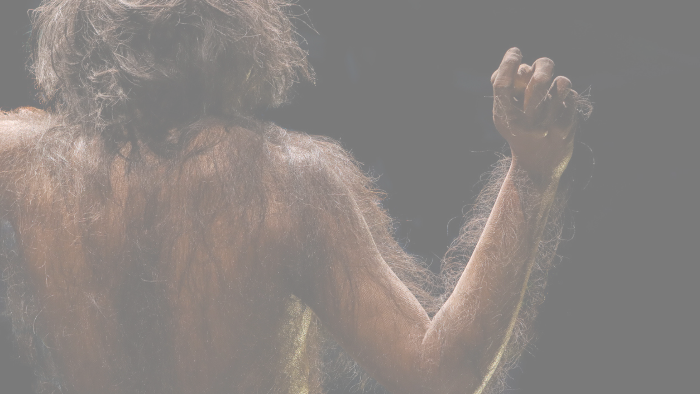 Historic DNA: Archaic Humans part. II - The Denisovans