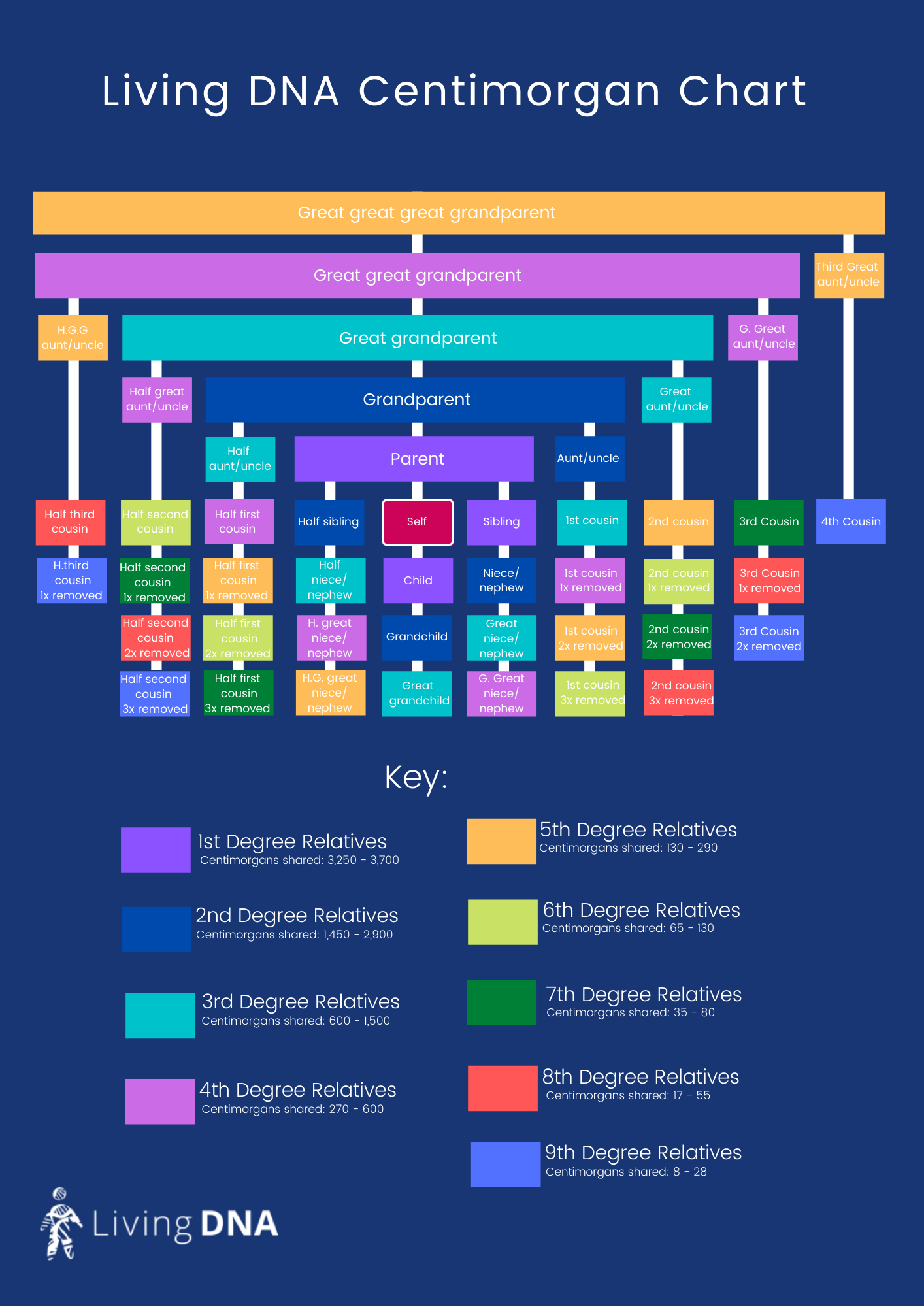 dna scale chart geeky Sequencing dna gene stick result genetic human ...