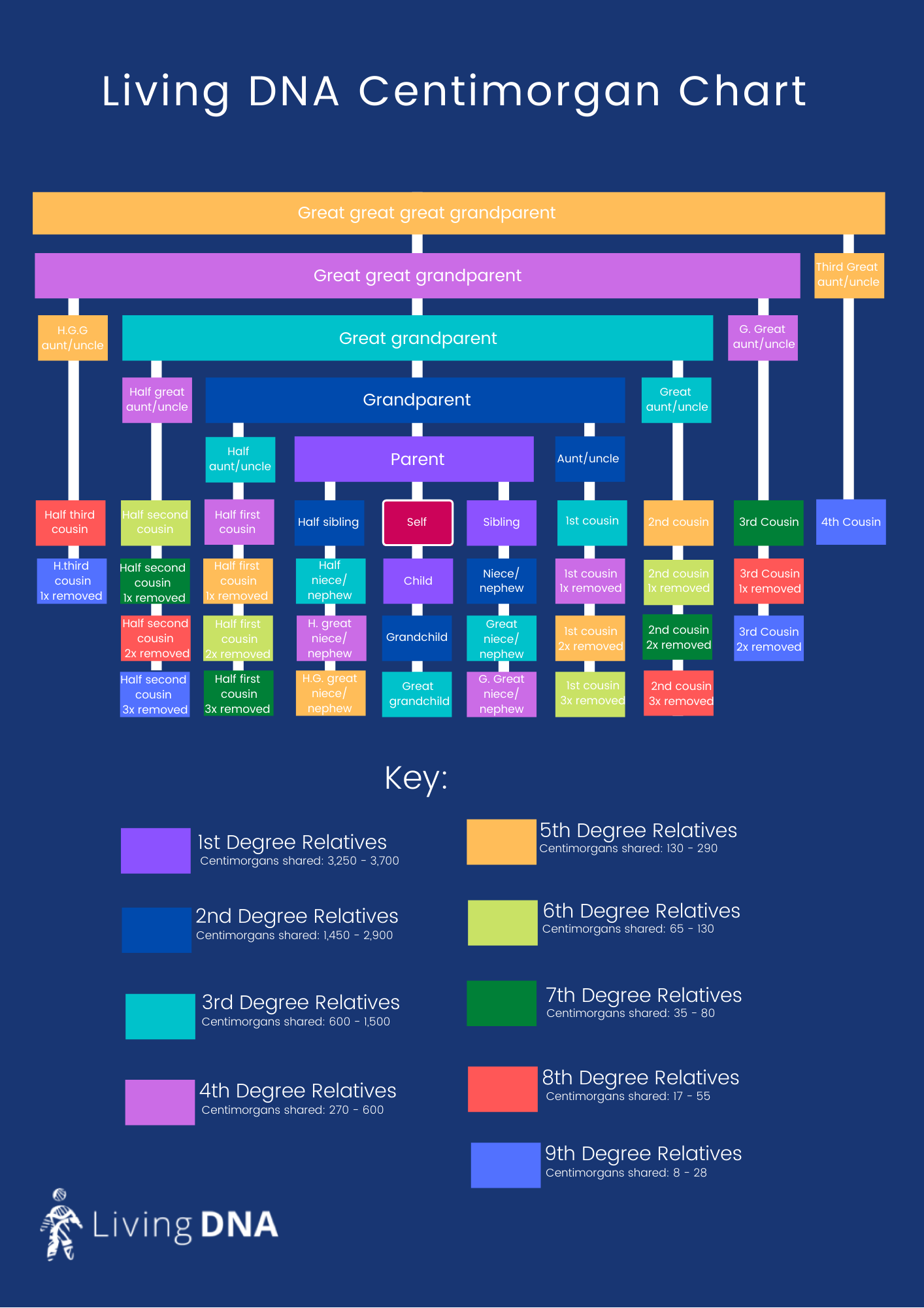 Centimorgan Chart: Understanding DNA Relationships | Living DNA