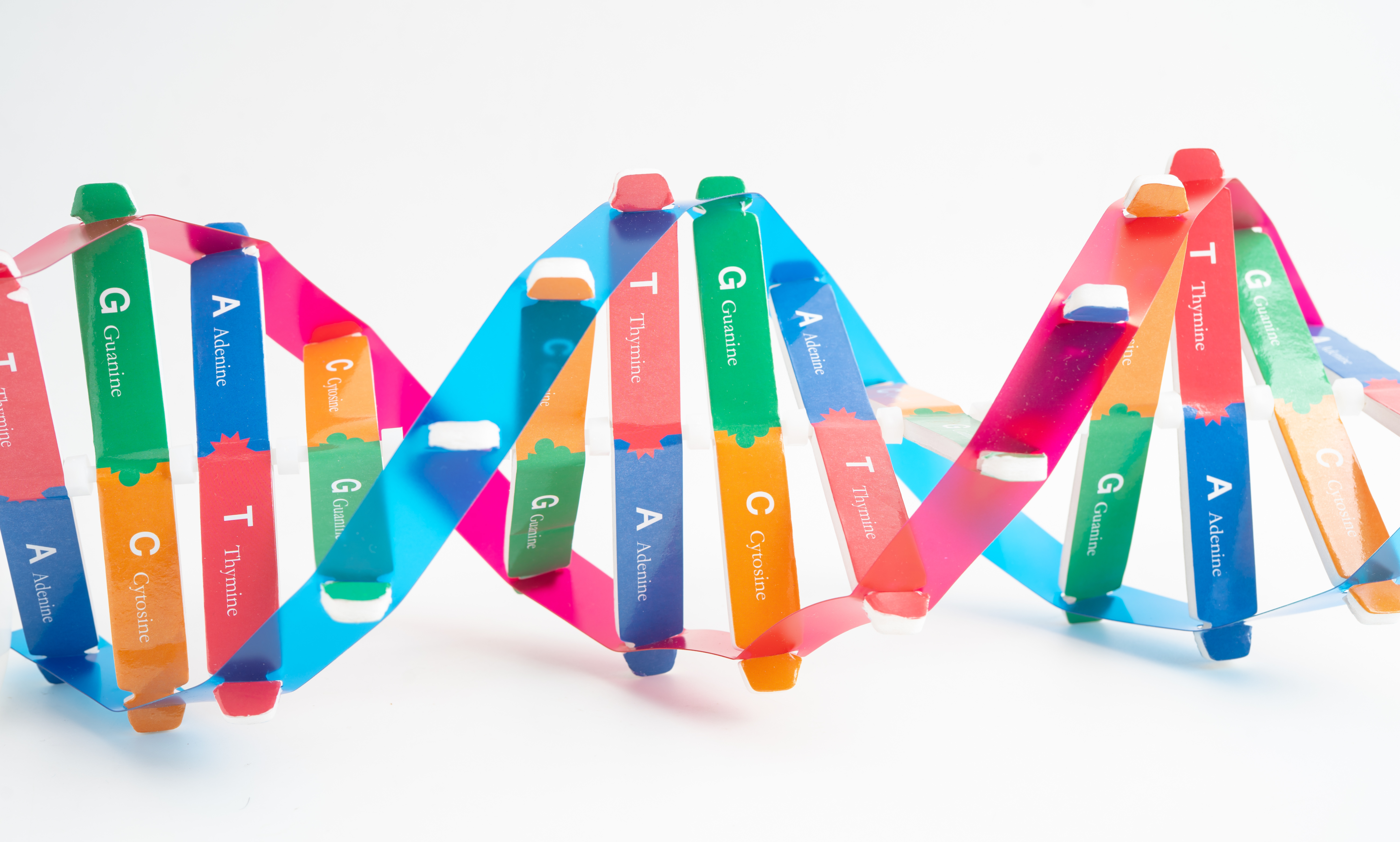 Celebrating DNA Day 2026: The Race to Decode Life