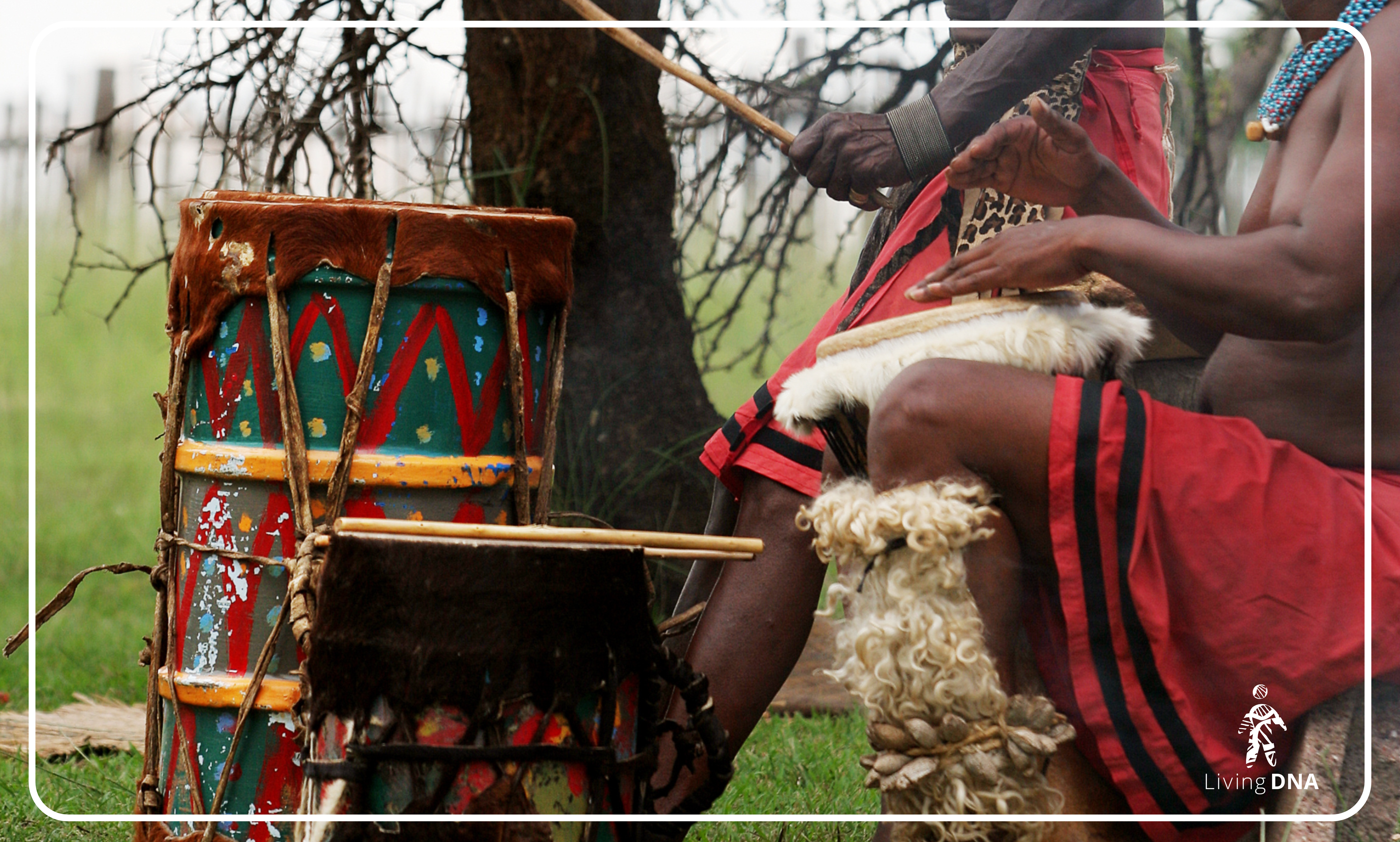 Drums at a traditional Zulu Dance, The Cradle of Humankind, Johannesburg