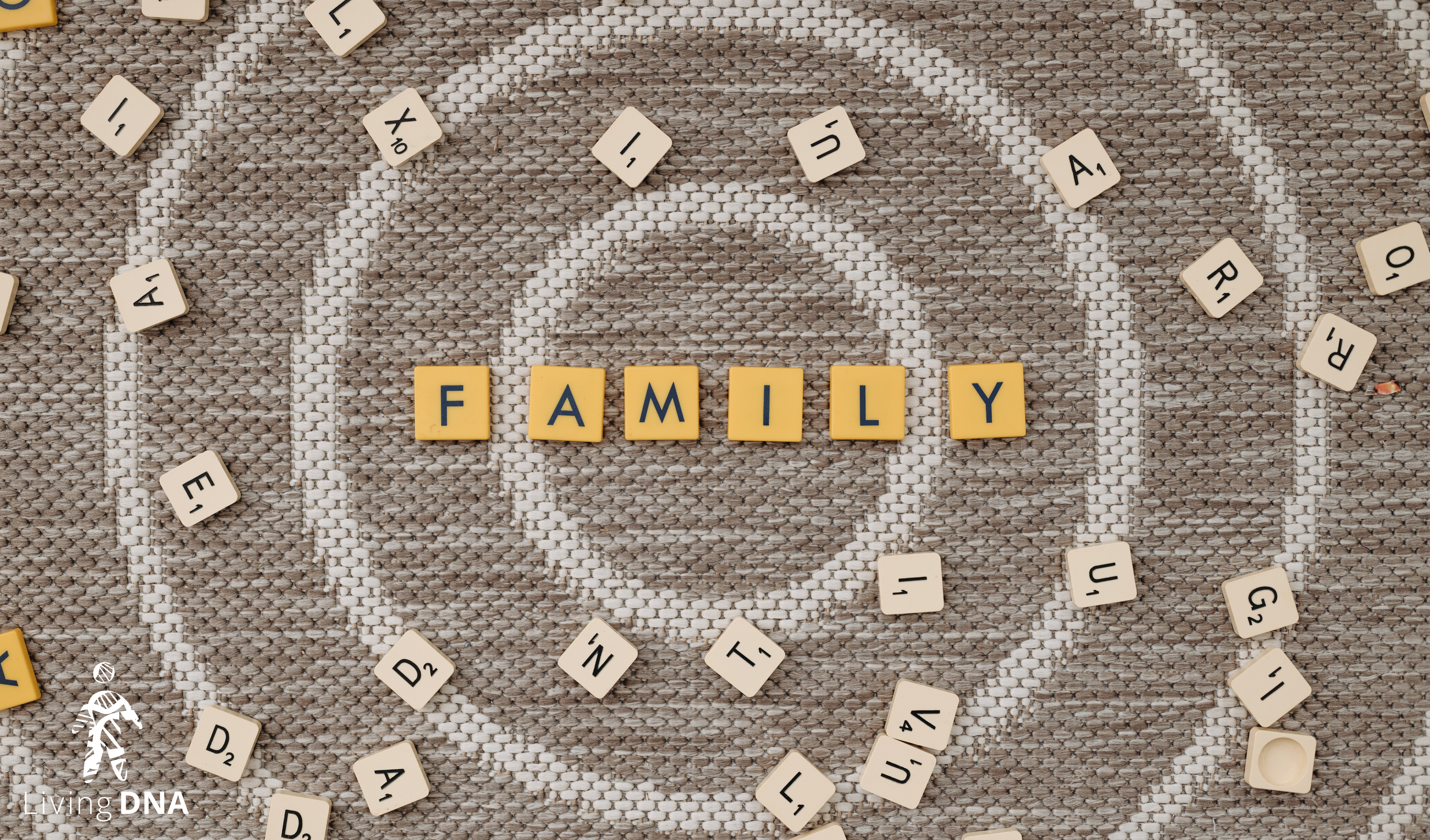 Matching Feature Focus: The Match List