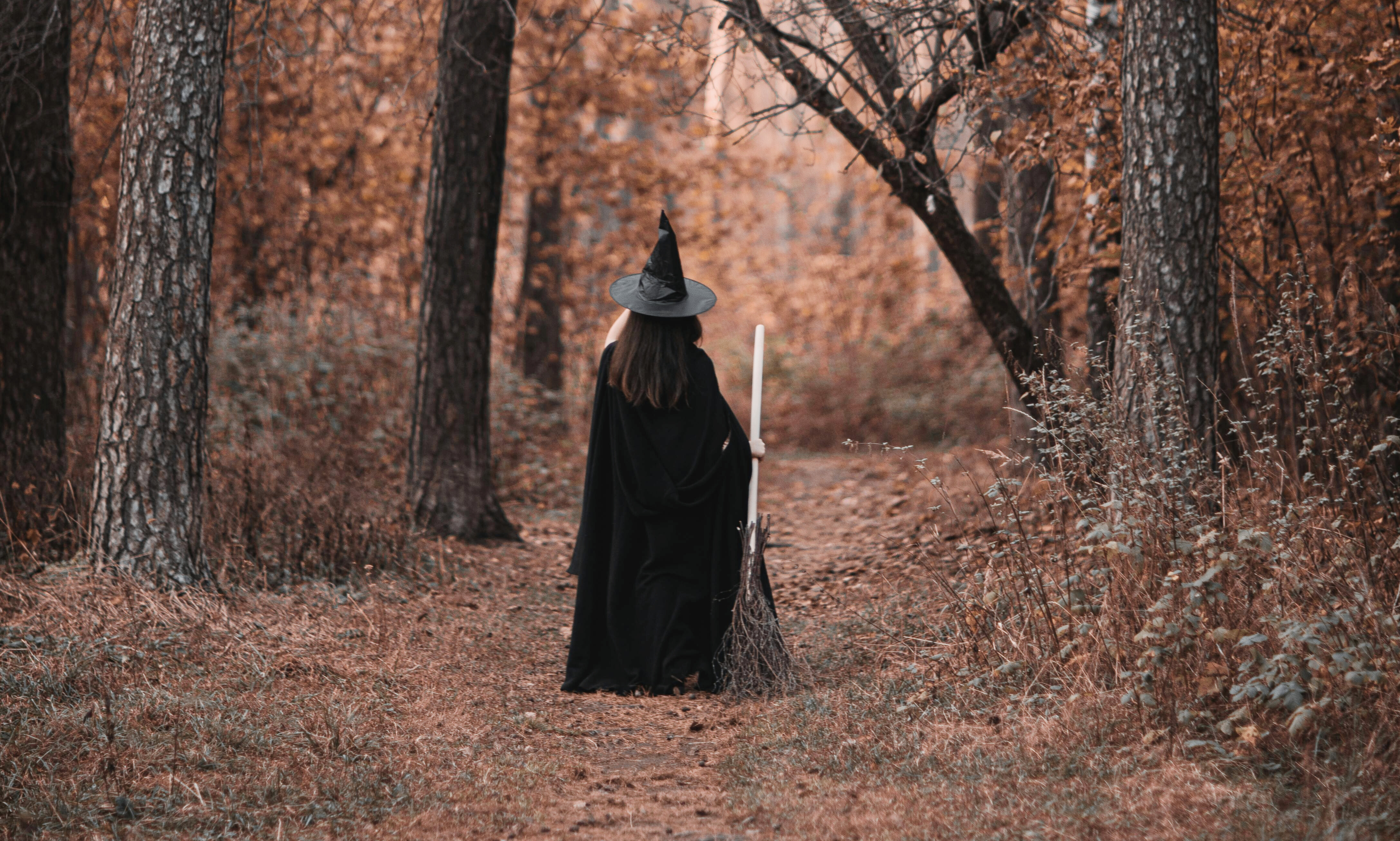 By the pricking of my thumbs... Witches in your family tree