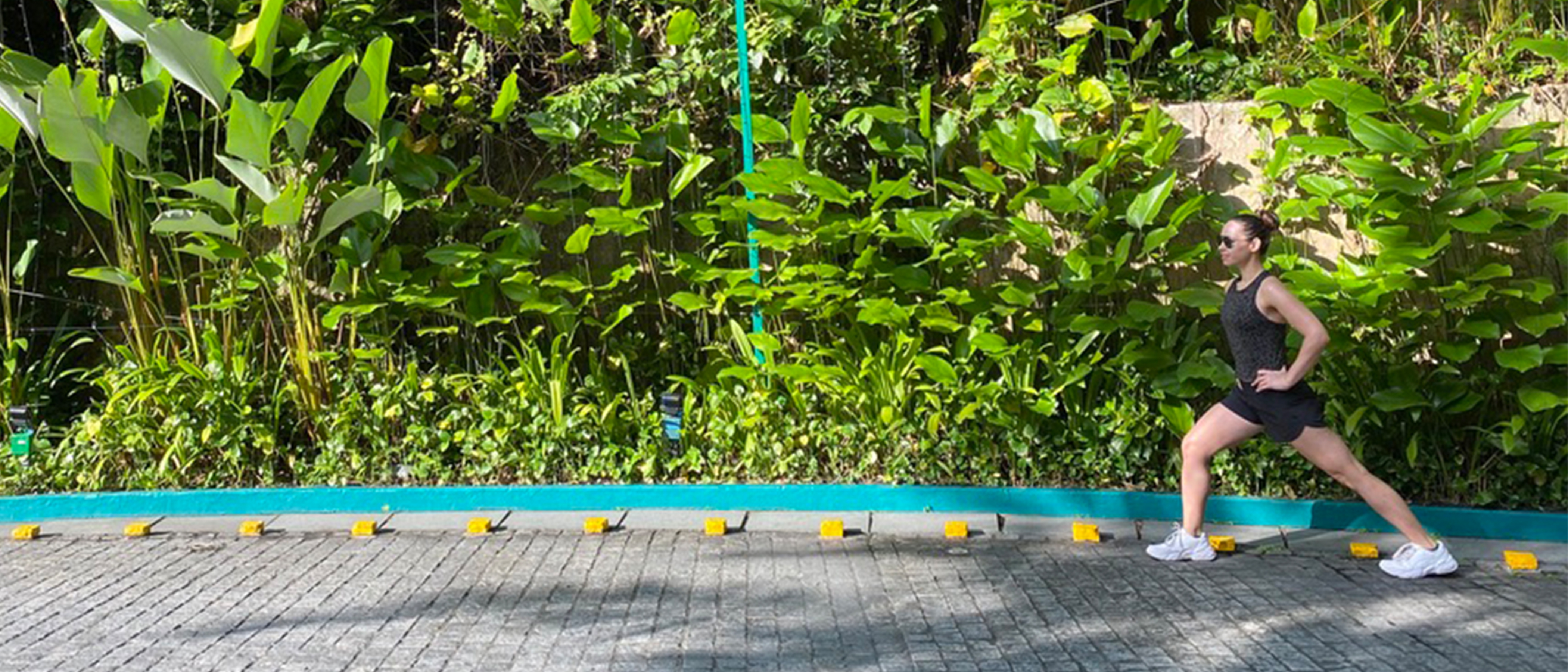 Fitness & Nutrition Deep Dive