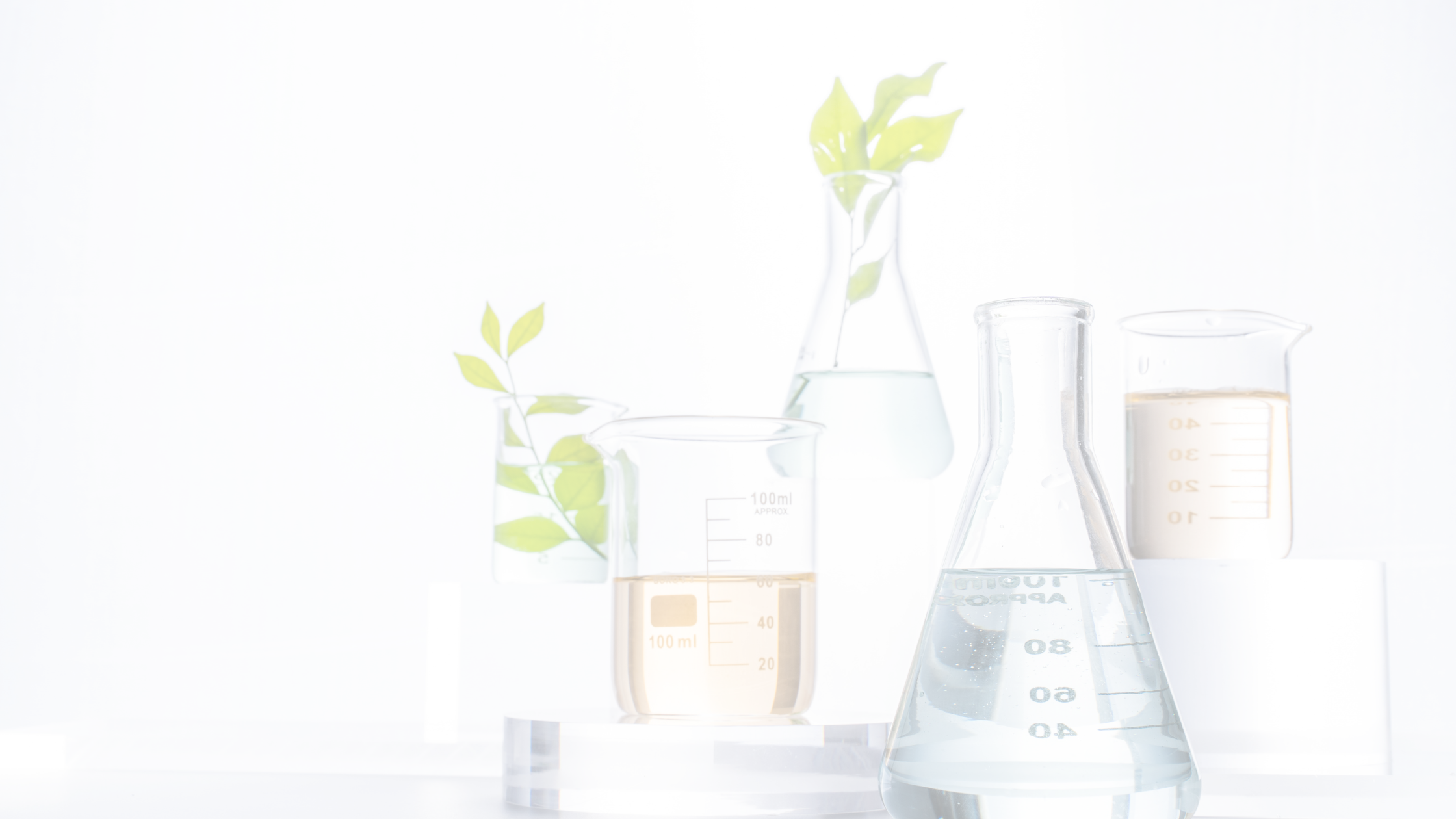 The Science of DNA: How does ancestry testing work?