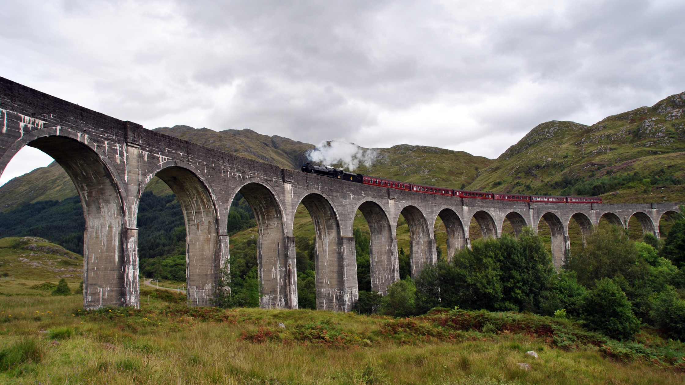 Steam Train