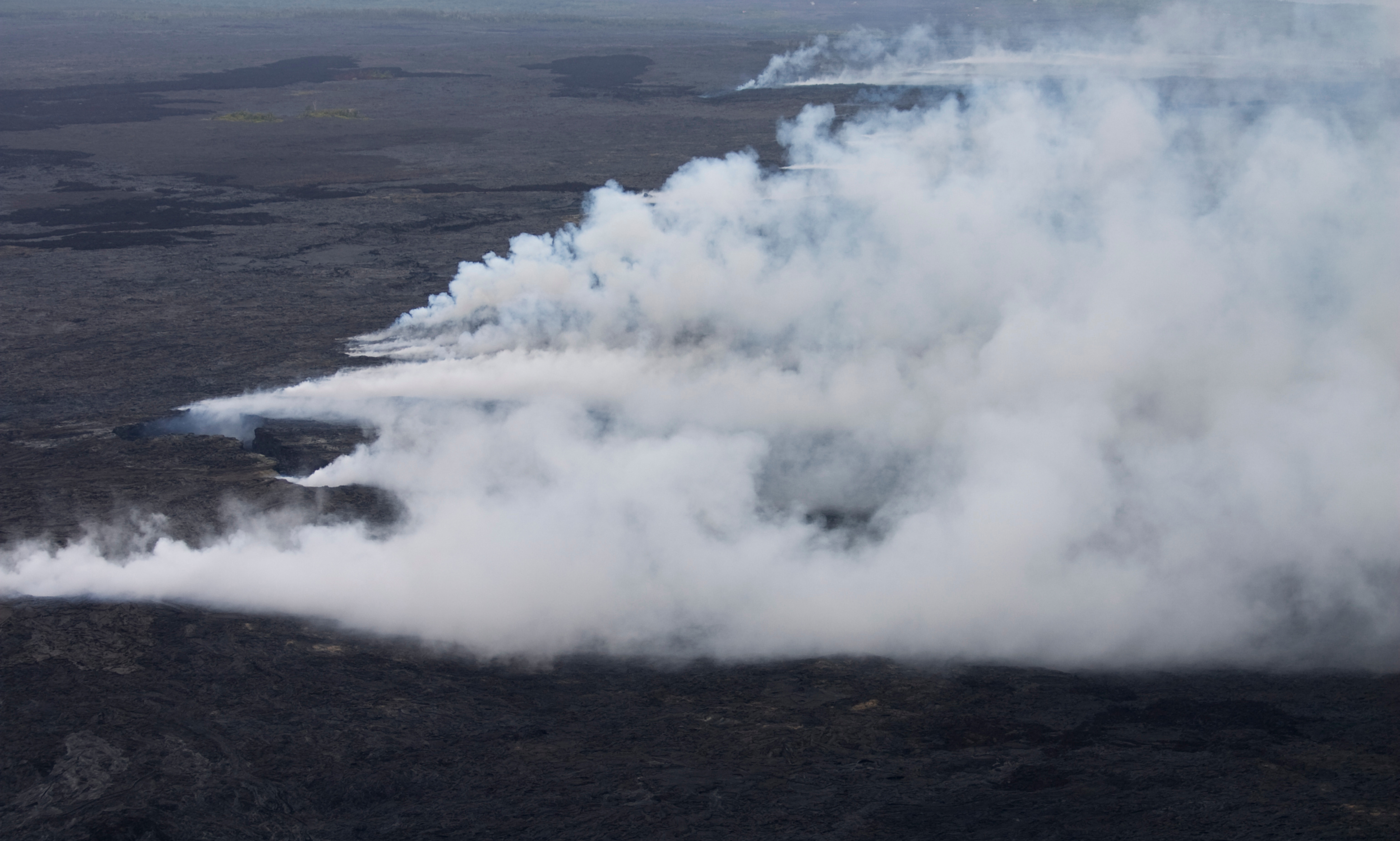 LUCA: Meet your oldest ancestor