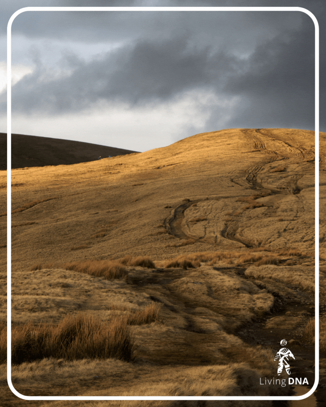 An image of a windswept hill in Lancashire.