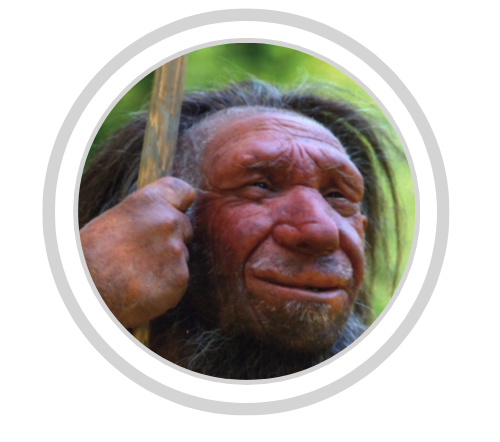 Neanderthal and Denisovan reports