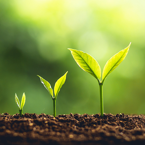  Recurring revenue generation through an active roadmap of new offerings.