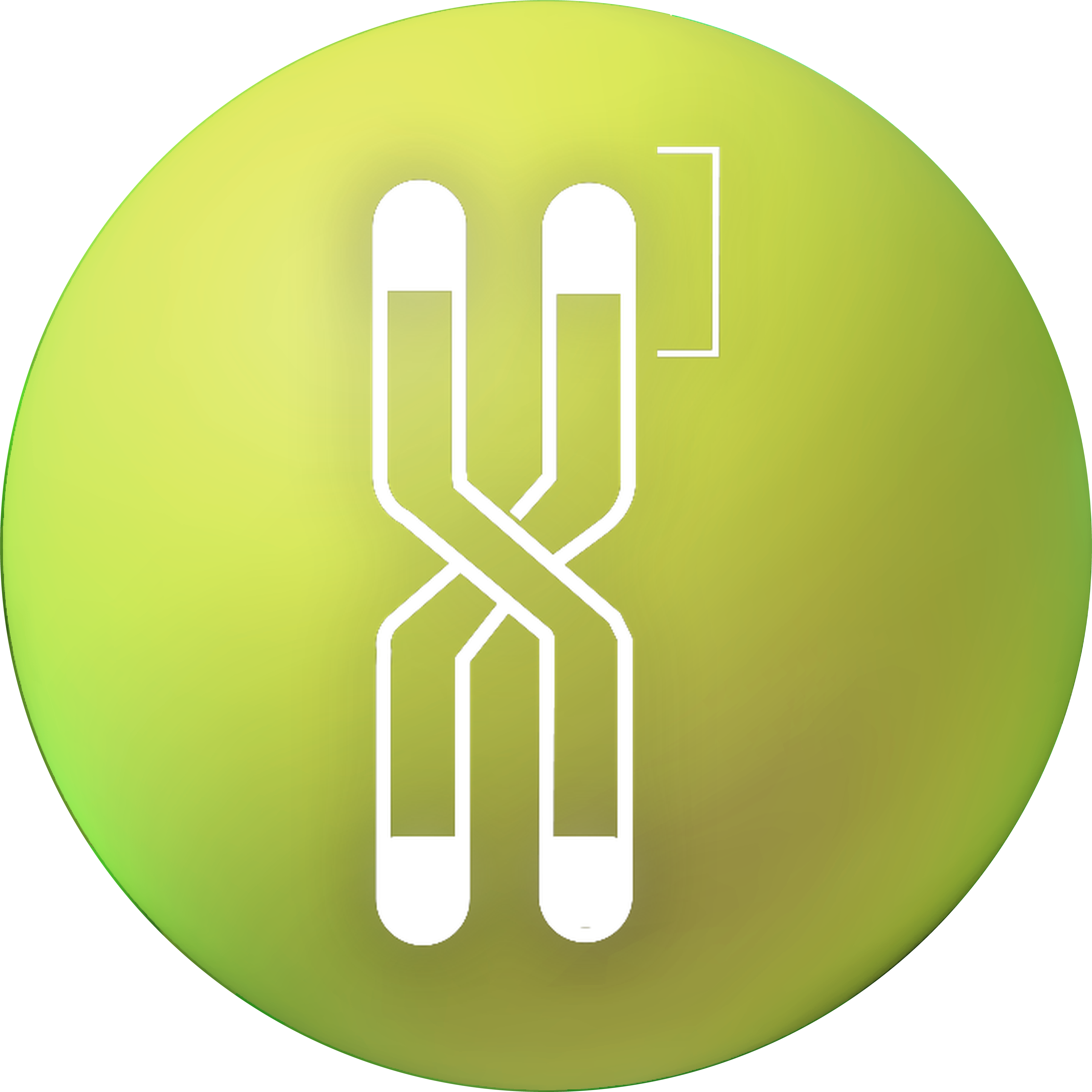 Telomere Length