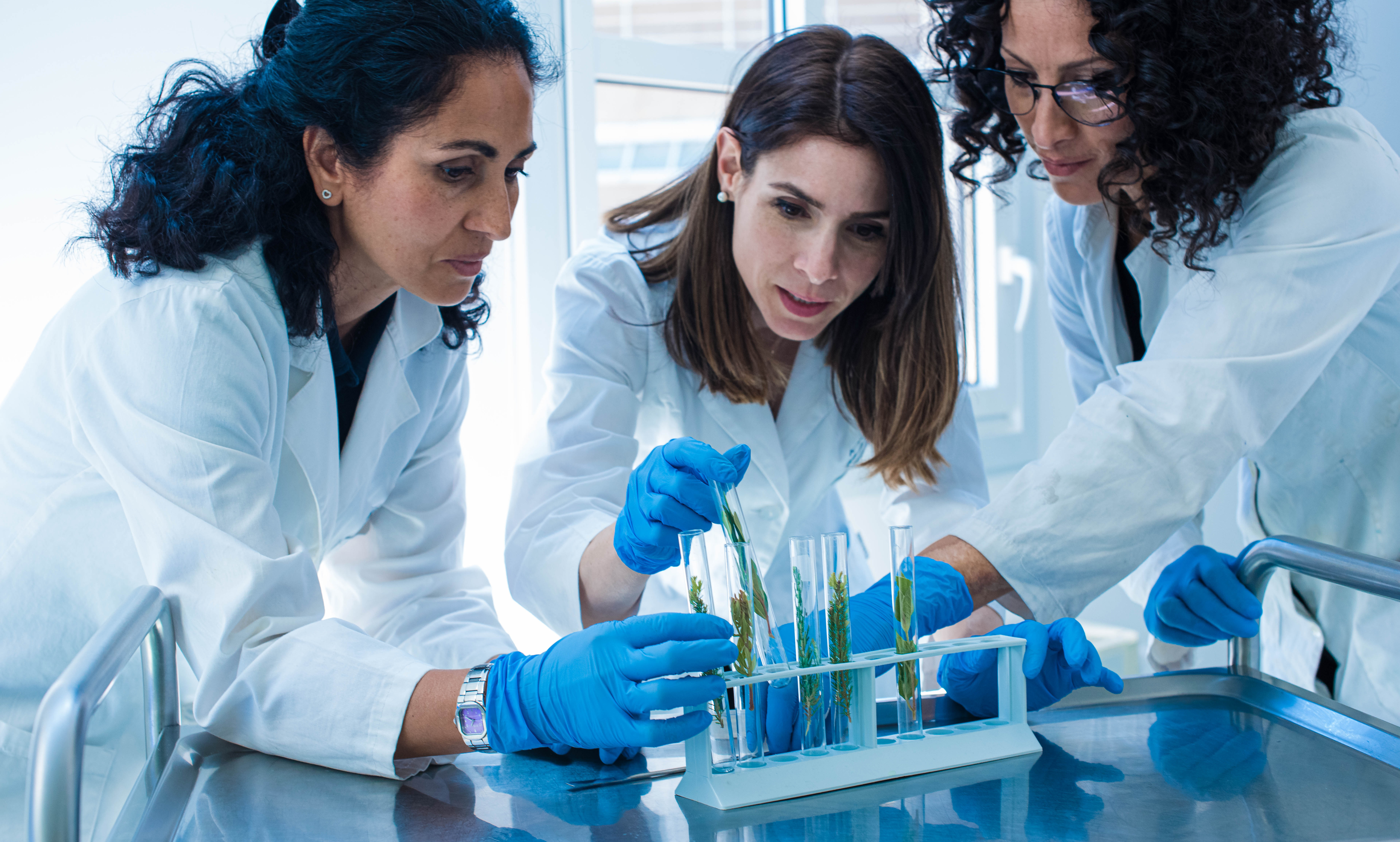 The Women Who Shaped DNA: Pioneers in Genetics and Beyond