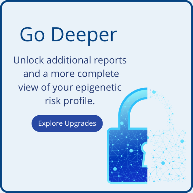 Upgrade Options