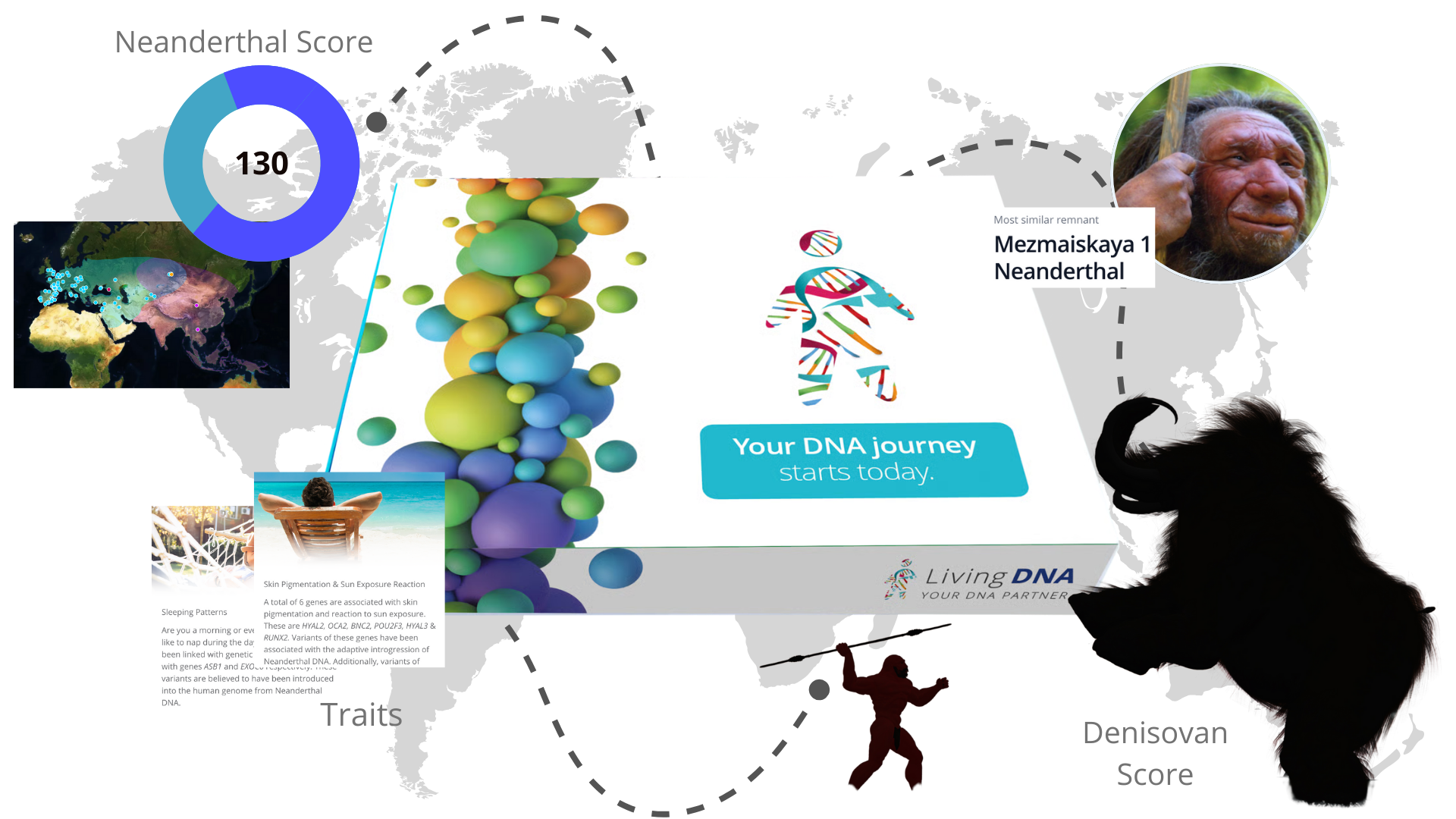 Neanderthal and Denisovan reports