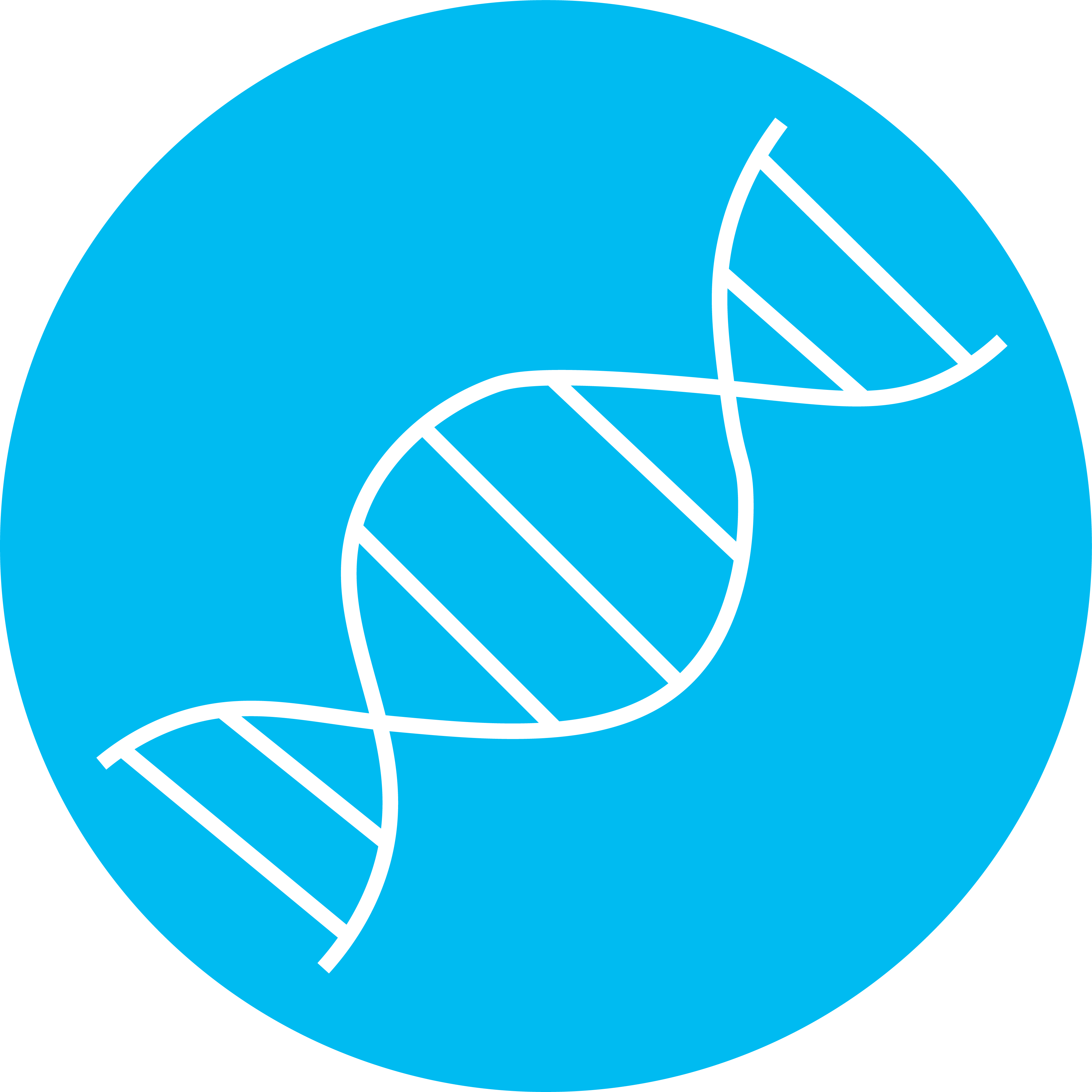 Your DNA today