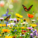 Could Your DNA Be Behind Your Seasonal Sneezing?