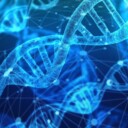 DNA Day 2020: What is it and why do we celebrate it?