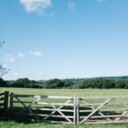 Can you find out if you have Welsh ancestry?