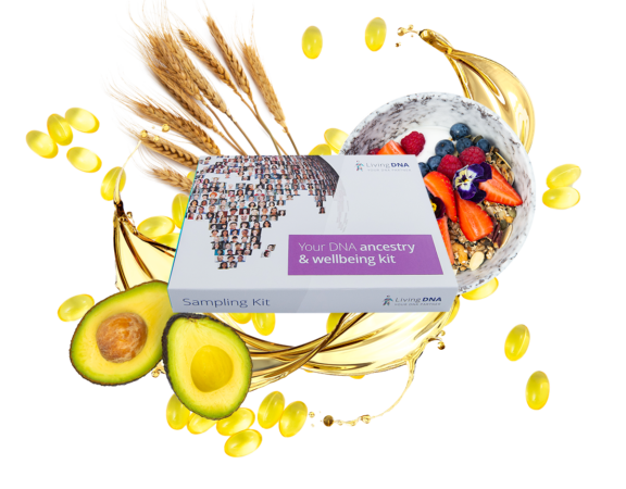 Vitamin response, food metabolism & nutrition