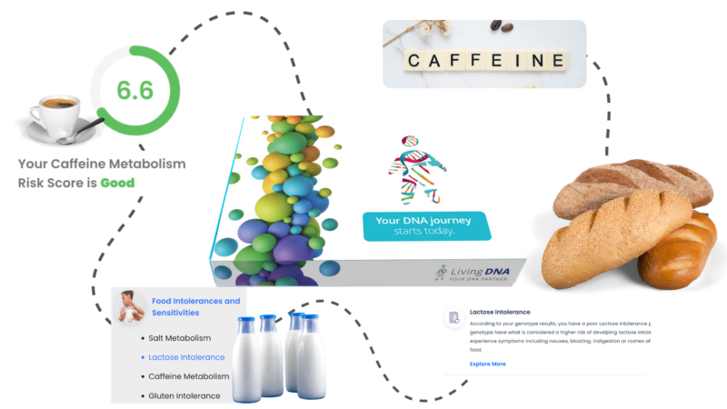 Nutrigenomics