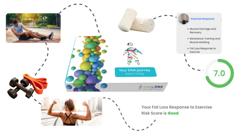 DNA Fitness