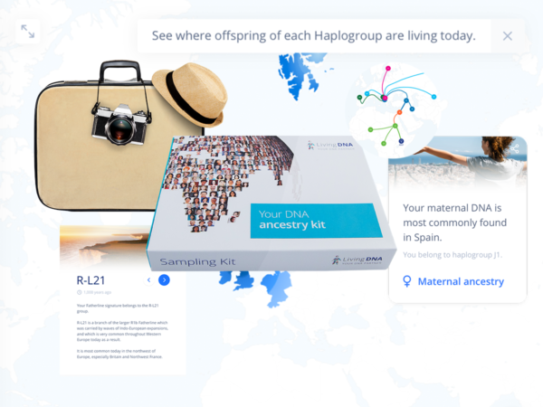 world explorer ancestry dna