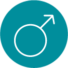 Male Hormones
