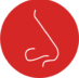 Nasal Allergies