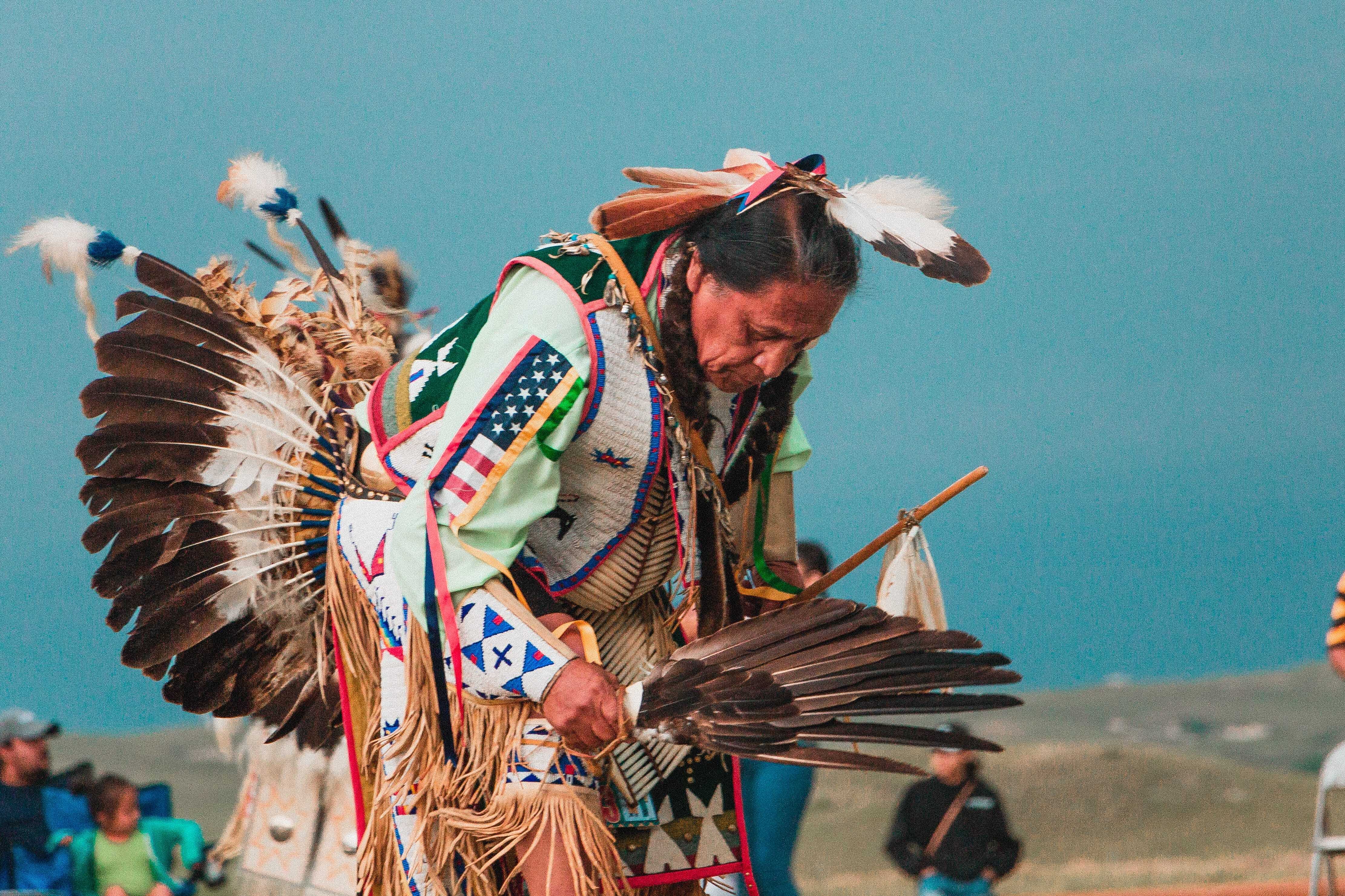 Can you find out if you have Native American ancestry? | Living DNA