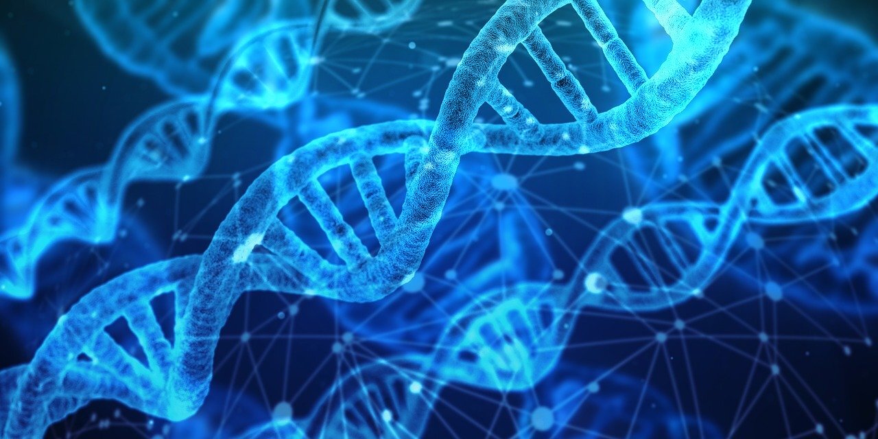 DNA Day 2020: What is it and why do we celebrate it?