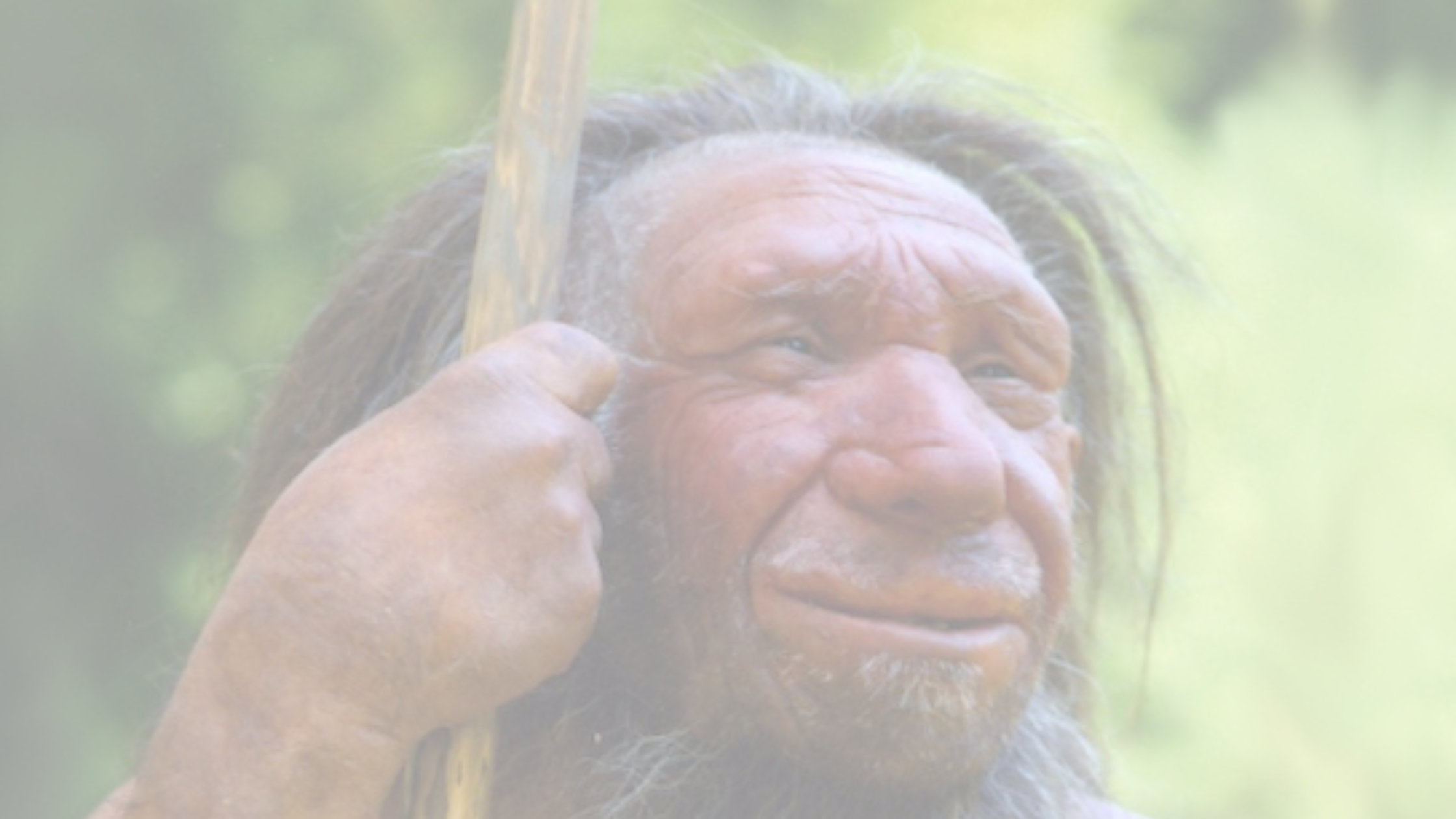 Historic DNA: Archaic Humans part. I - The Neanderthals