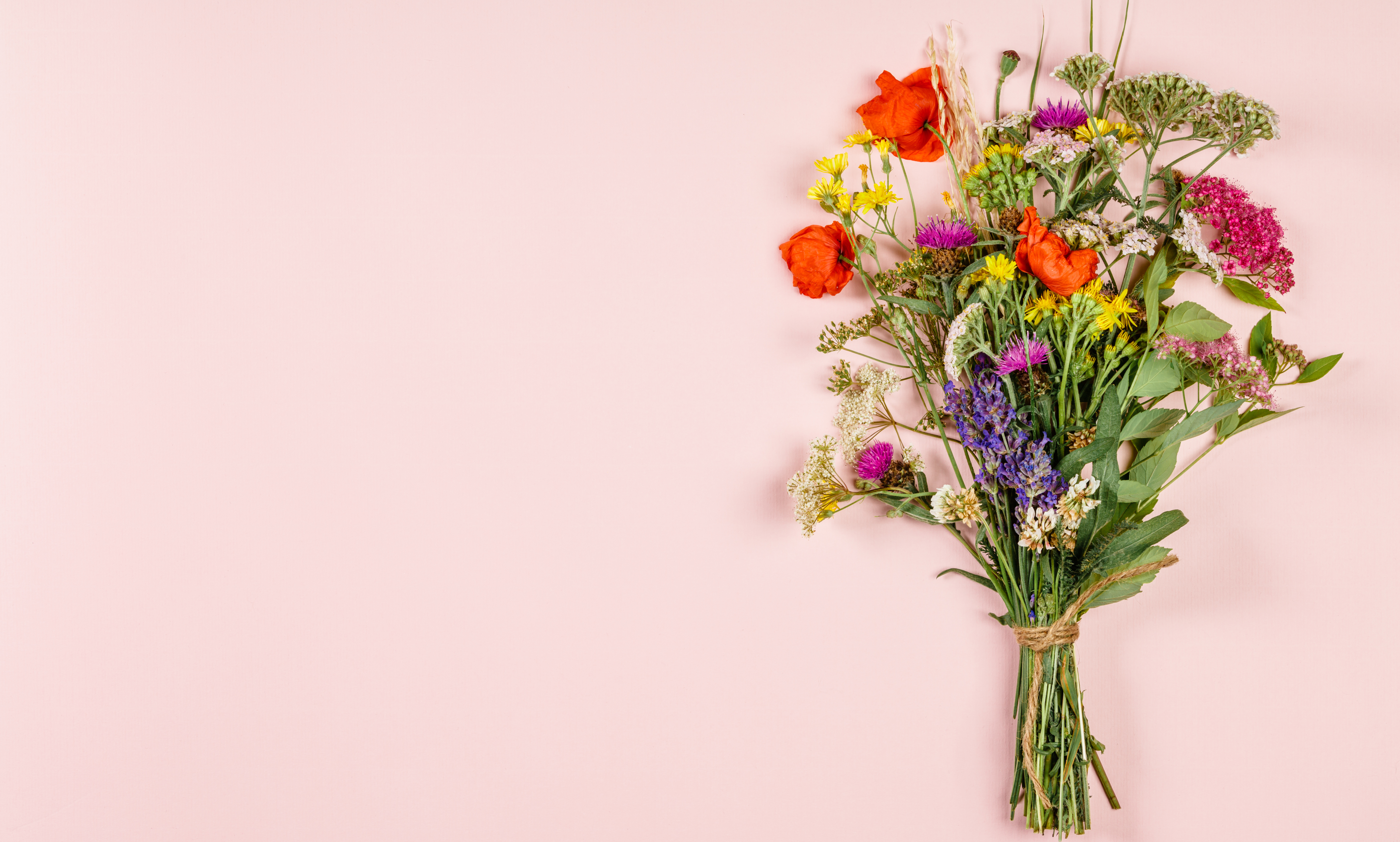 Mother's Day: Researching Your Maternal Lines