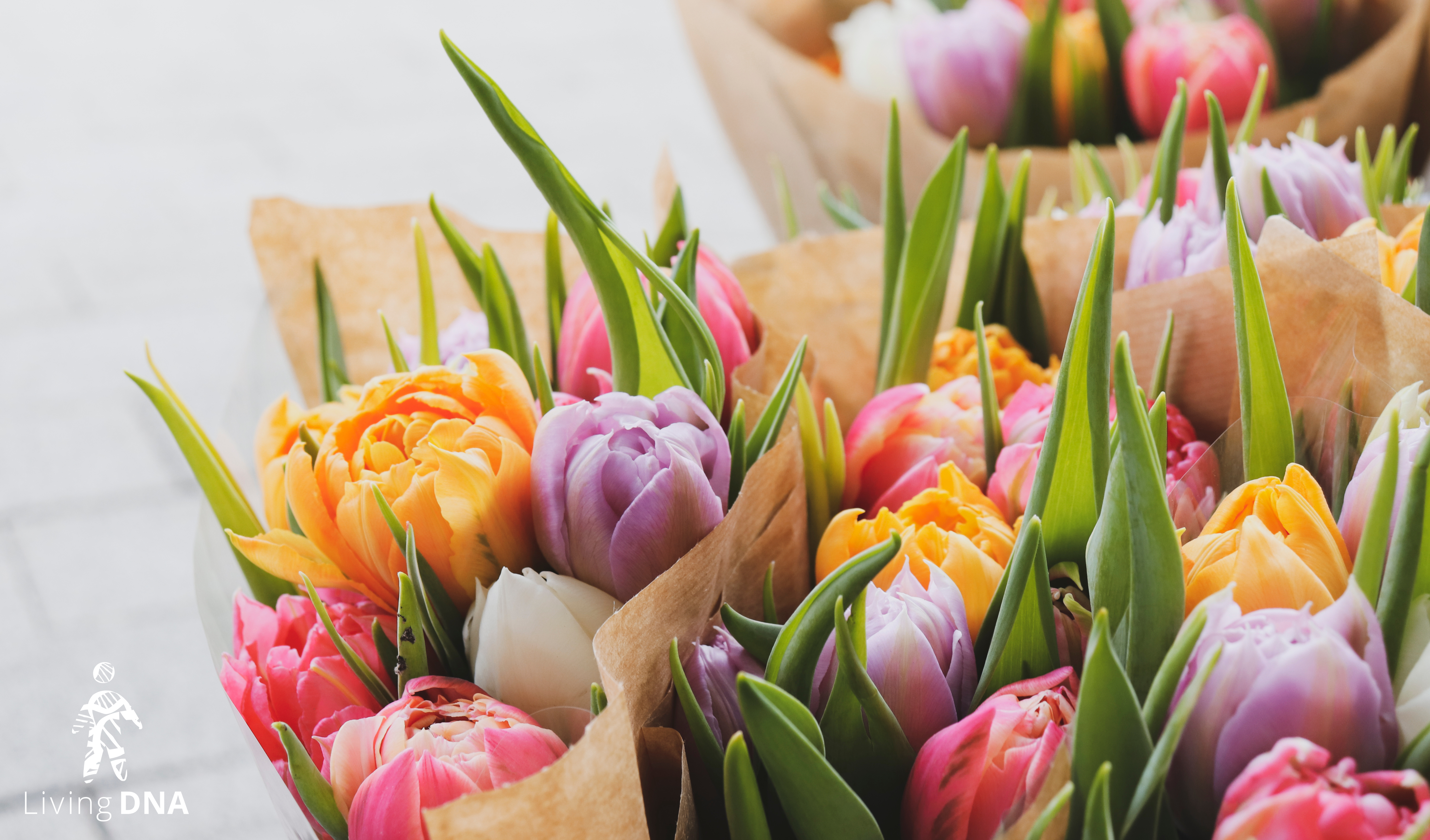 Happy Mother's Day, USA!