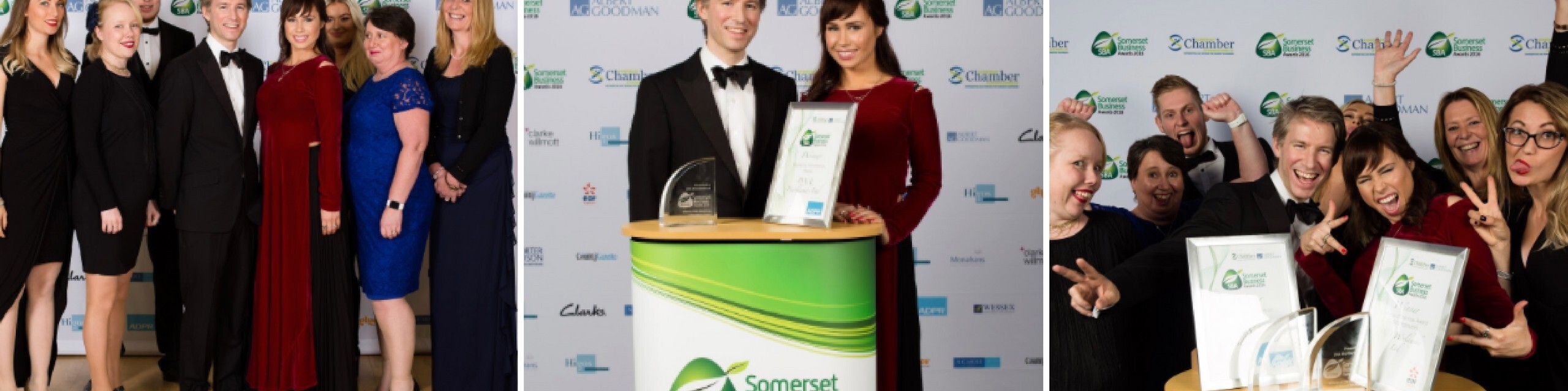 Winners at Somerset Business Awards