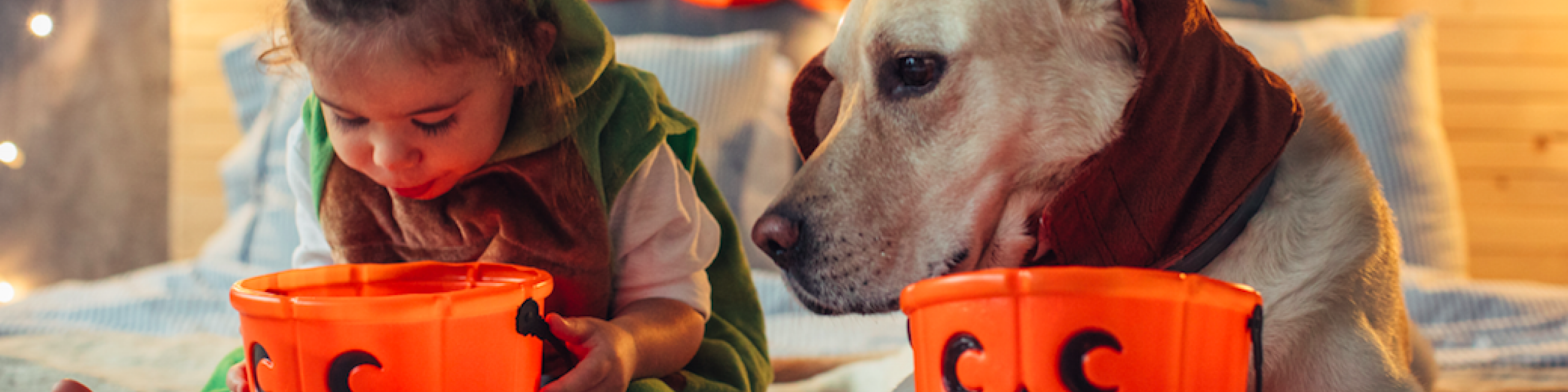 What do you get when you drop a pumpkin? Squash