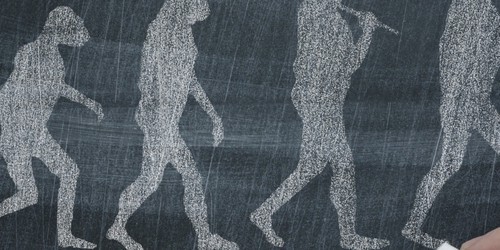 Who were the Neanderthals?