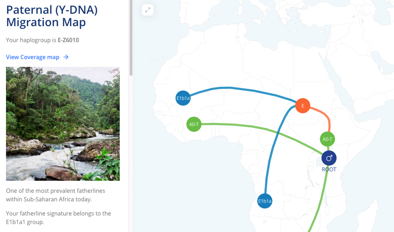 Deep paternal and maternal lineage reports