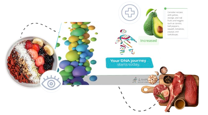 Screenshot 2024 09 11 at 15 46 34 removebg preview