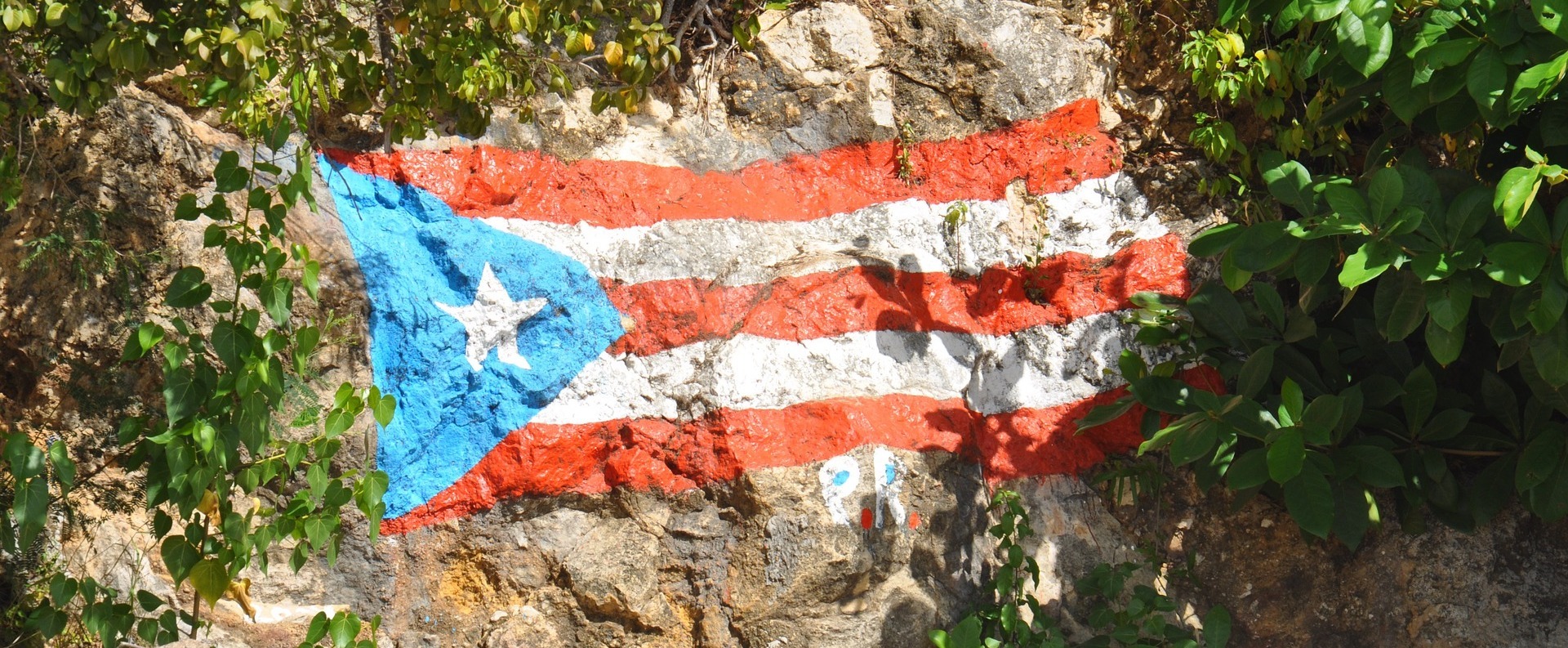 Can you find out if you have Puerto Rican ancestry?