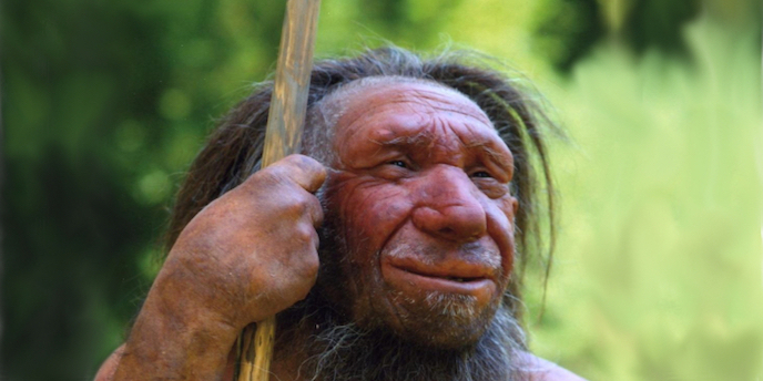 neanderthal_green.1024x512_2022-11-15-112446_ducz.jpeg